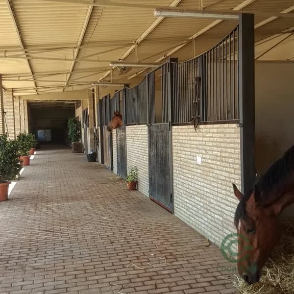 Finca de recreo de 3 ha en venta en Sevilla