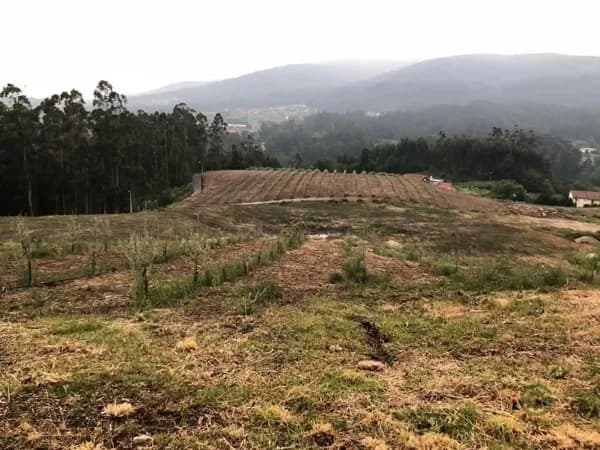 Finca agrícola de 4,29 ha en venta en Pontevedra, Pontevedra