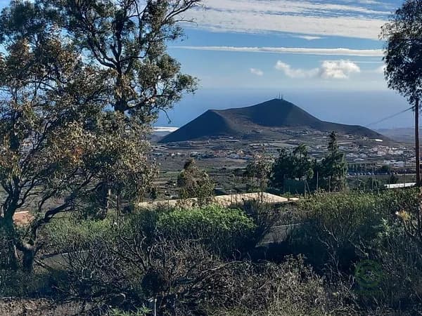 Finca agrícola de 1,4905 ha en venta en Granadilla de abona, Santa cruz de tenerife