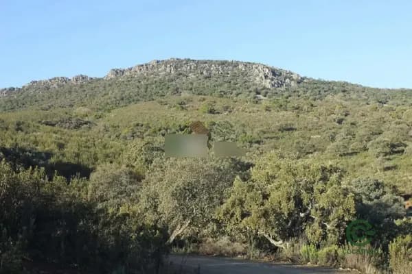 Finca rústica de 600 ha en venta en Cáceres