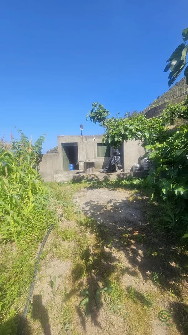 Finca rústica de 1 ha en venta en Santa cruz de tenerife