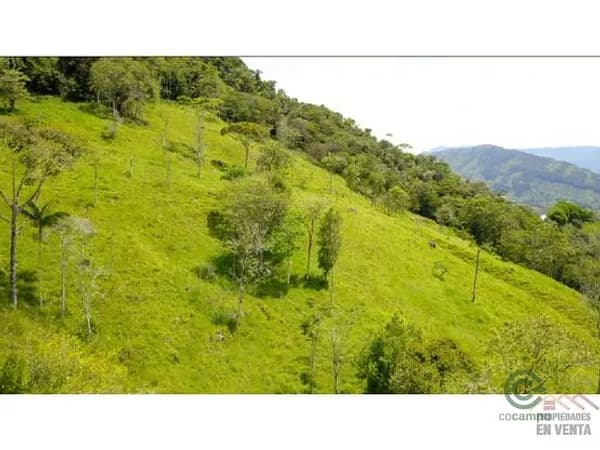 Finca rústica de 0,1874 ha en venta en Antioquia
