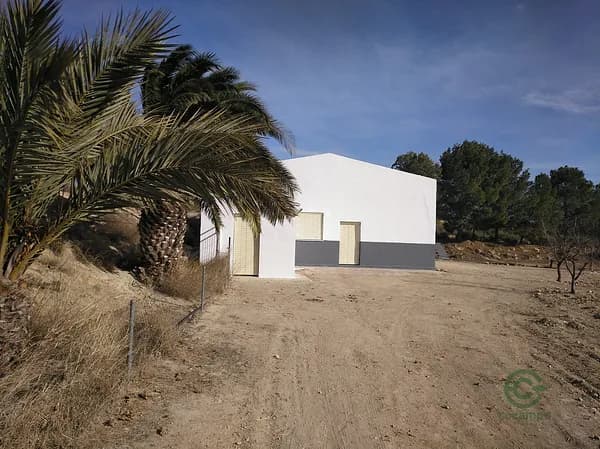 Finca agrícola de 7,5 ha en venta en Yecla, Murcia