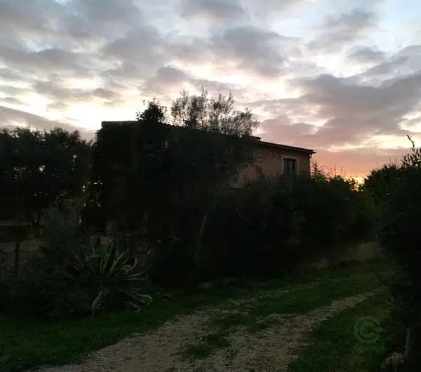 Finca cinegética de 3 ha en venta en Islas baleares