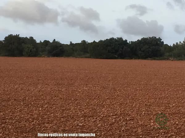 Finca rústica de 1309 ha en venta en Albacete