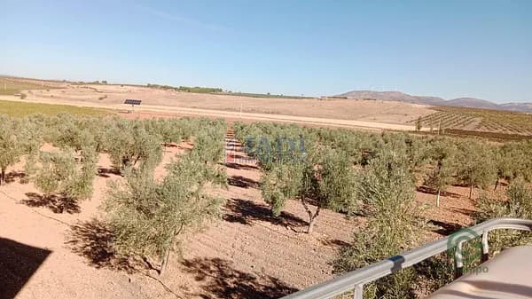 Finca agrícola de 4,2 ha en venta en Valdepeñas, Ciudad real