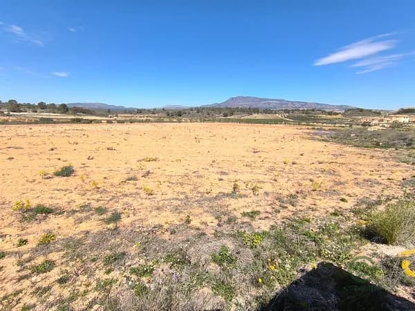 Finca agrícola de 1,8 ha en venta en Alquerias, Murcia