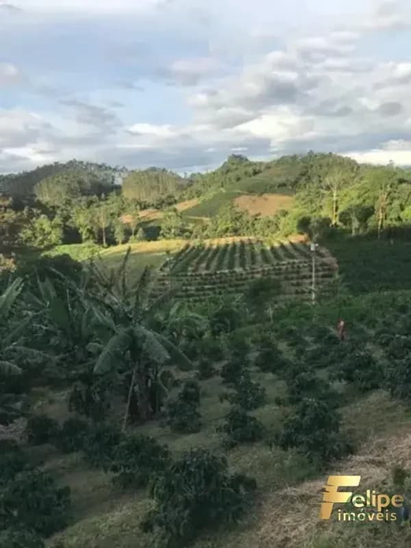 Fazenda rustica de 7,26 ha para venda em Espírito santo