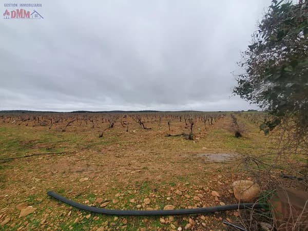 Finca agrícola de 3,5 ha en venta en Ciudad real