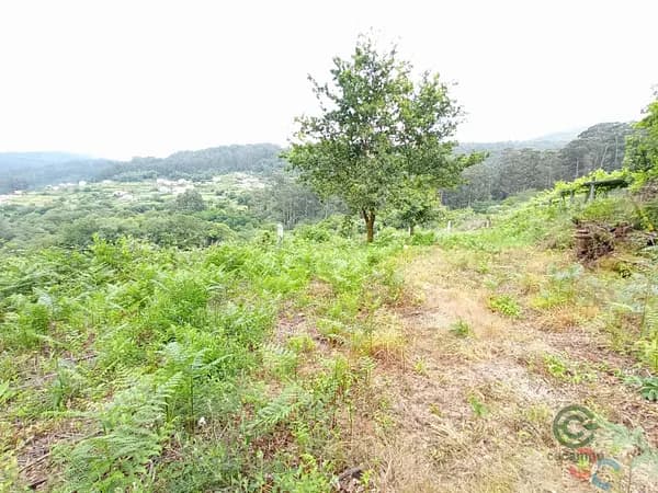 Finca de recreo de 0,095 ha en venta en Marín, Pontevedra