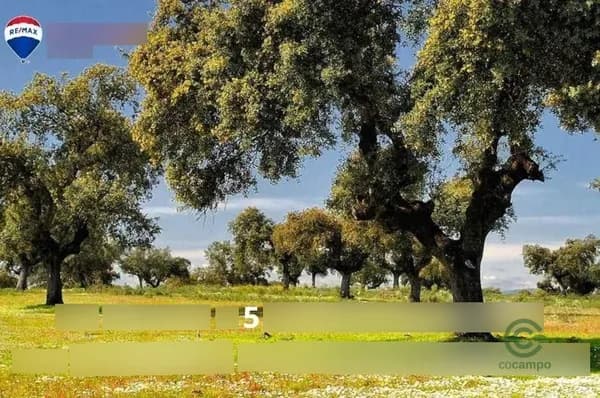 Finca rústica de 1,5 ha en venta en Valverde de merida, Badajoz