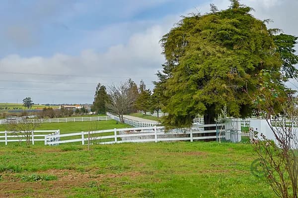 Finca rústica de 950 ha en venta en Bacelo e senhora da saúde, Évora