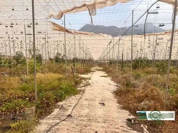 Finca agrícola de 1 ha en venta en La aldea de san nicolas, Las palmas