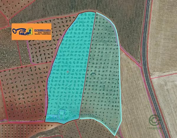 Finca agrícola de 4,3794 ha en venta en Valdepenas, Ciudad real