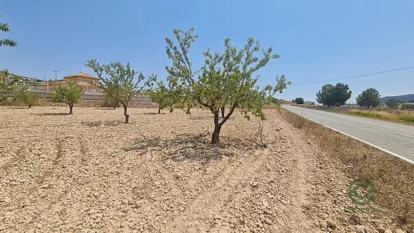 Finca rústica de 0,734 ha en venta en Jumilla, Murcia