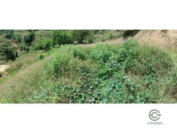 Finca rústica de 0,1222 ha en venta en Antioquia