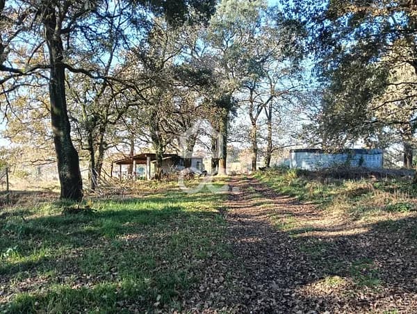 Finca agrícola de 2,206 ha en venta en Bairro, Braga