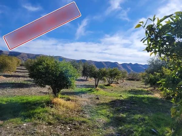 Finca agrícola de 1,4728 ha en venta en Uleila del campo, Almeria