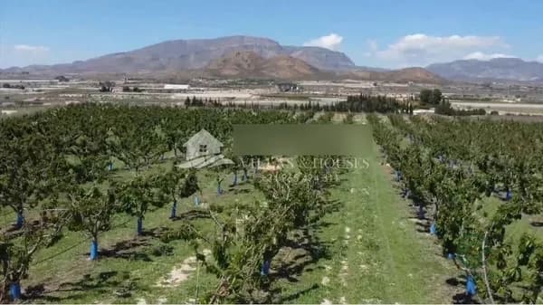 Finca agrícola de 8,8577 ha en venta en Monforte del cid, Alicante