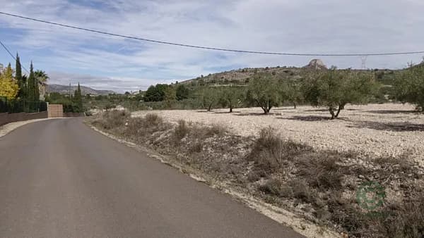 Finca agrícola de 2,1215 ha en venta en Salinas, Alicante