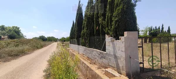 Finca rústica de 0,1202 ha en venta en Ulldecona, Tarragona