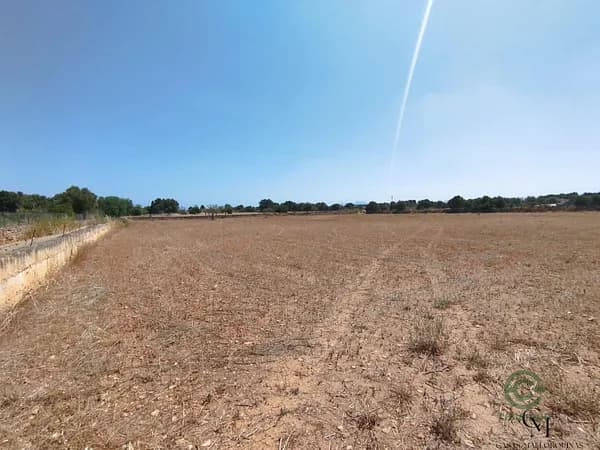 Finca rústica de 1,45 ha en venta en Santa margalida, Baleares