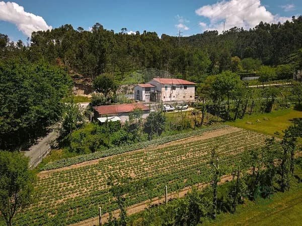 Finca rústica de 0,8 ha en venta en Guimarães, Braga