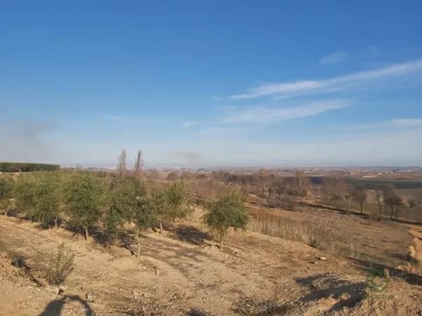 Finca agrícola de 1,42 ha en venta en Castelldans, Lleida