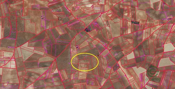 Finca agrícola de 1,2264 ha en venta en Quintanar del rey, Cuenca