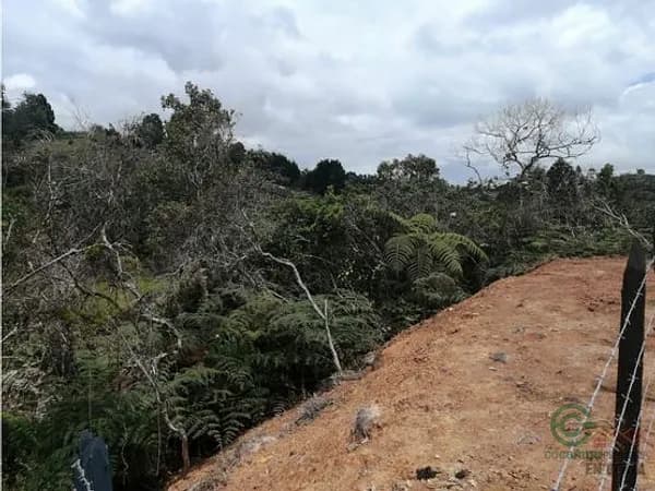 Finca rústica de 0,336 ha en venta en Antioquia