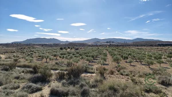 Agricultural property of 6,38 ha for sale in Alicante