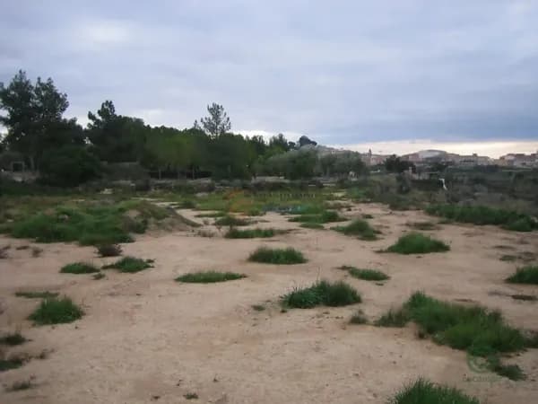 Finca de recreo de 1 ha en venta en Monovar/monover, Alicante