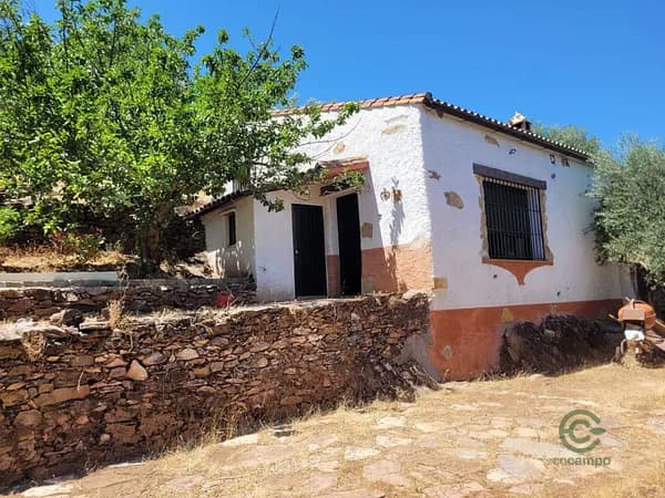 Finca agrícola de 14,2 ha en venta en Fuentes de león, Badajoz