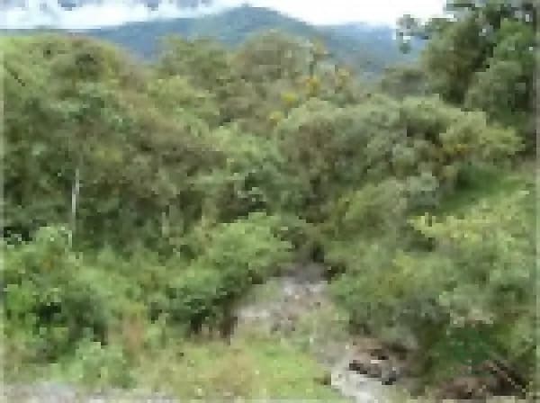 Terreno urbano de 3,2 ha en venta en Pichincha