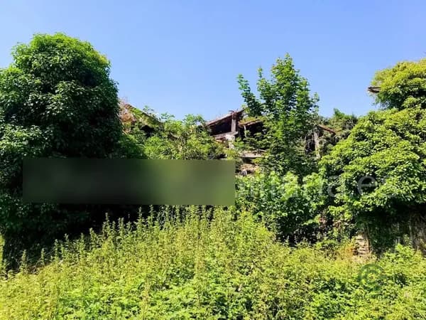 Finca rústica de 0,8 ha en venta en Ayala, Alava