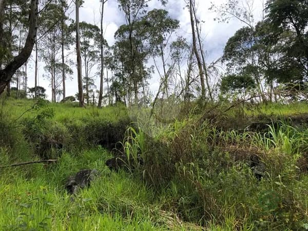 Fazenda rustica de 0,23 ha para venda em São paulo