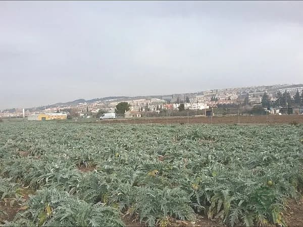 Finca agrícola de 0,153 ha en venta en Granada, Granada