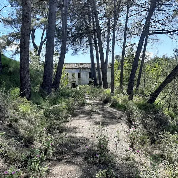 Finca rústica de 37,8378 ha en venta en Planes, Alicante