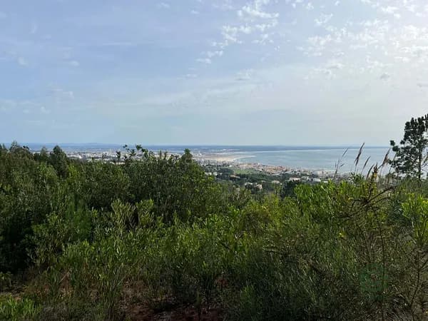 Fazenda de recreação de 1 ha para venda em Coimbra