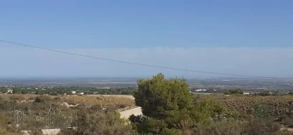 Finca rústica de 1,05 ha en venta en Crevillent, Alicante