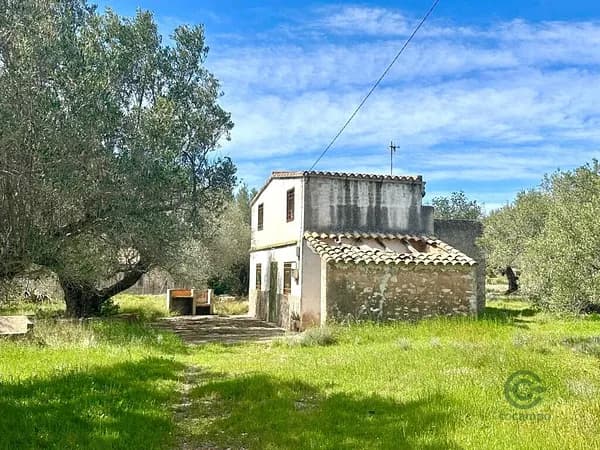 Finca agrícola de 3 ha en venta en Ampolla, l, Tarragona