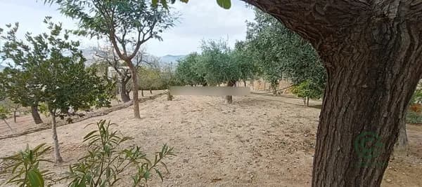 Finca rústica de 5,5 ha en venta en Jijona - xixona, Alicante