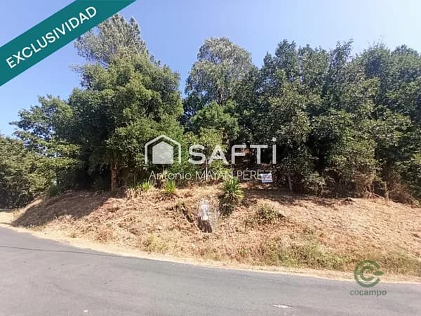 Finca forestal de 1,0024 ha en venta en Barbadas, Orense