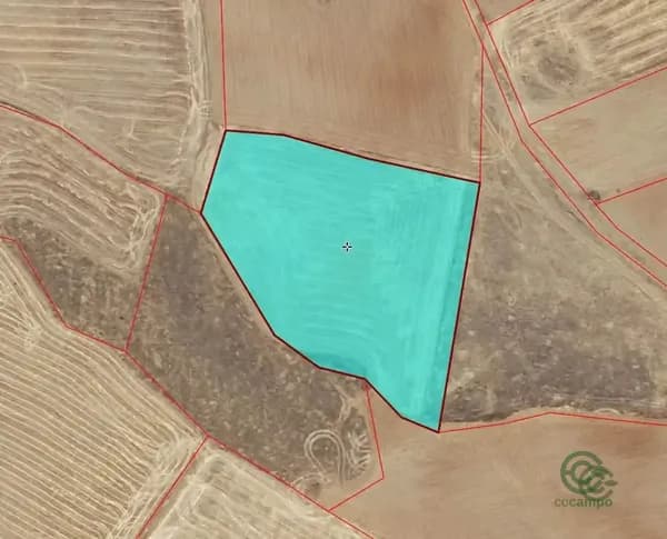 Finca agrícola de 0,81 ha en venta en Torrenueva, Ciudad real