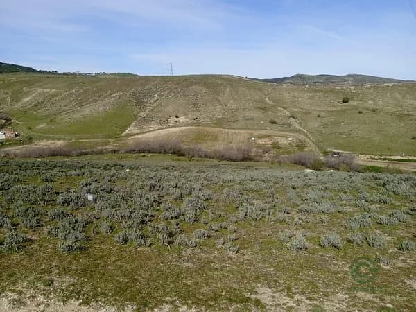 Finca rústica de 1,3766 ha en venta en El molar, Madrid