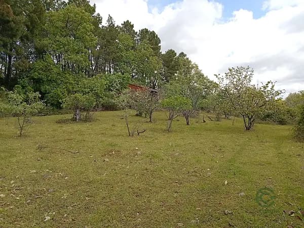 Finca rústica de 2,25 ha en venta en Cáceres