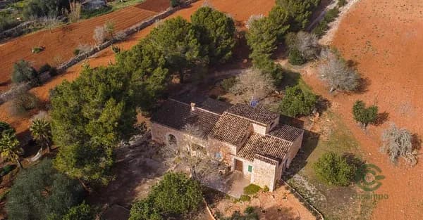 Finca rústica de 2,1852 ha en venta en Campos, Baleares