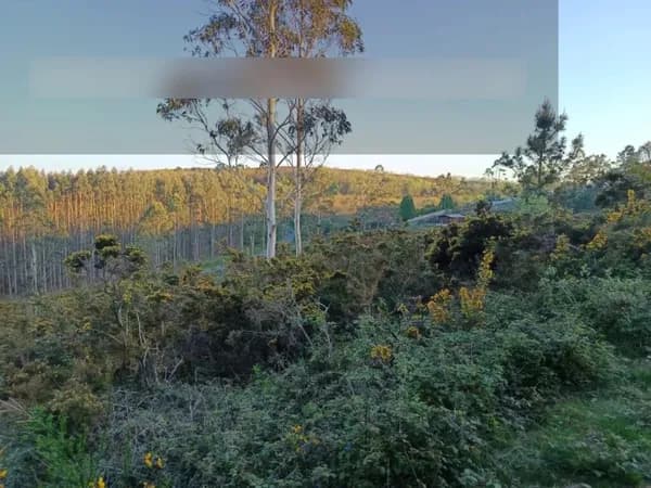 Finca rústica de 0,1449 ha en venta en La coruña