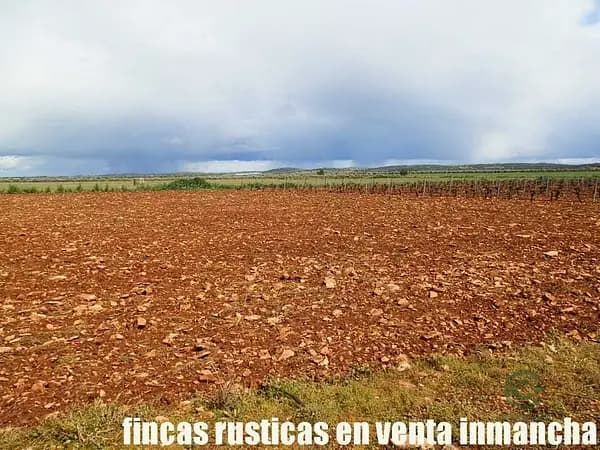 Finca agrícola de 5 ha en venta en Ciudad real