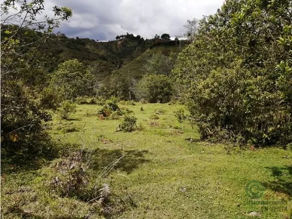 Terreno urbano de 8,38 ha en venta en Antioquia